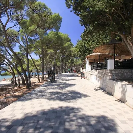 Selma * Biograd Na Moru